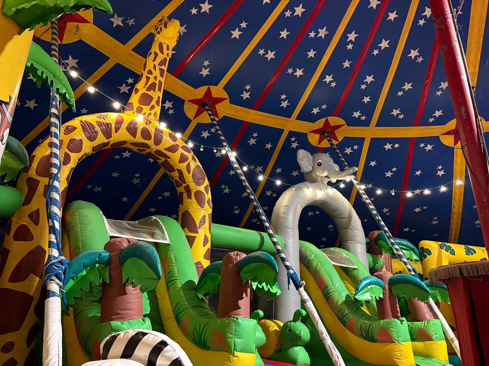 Kid's circus