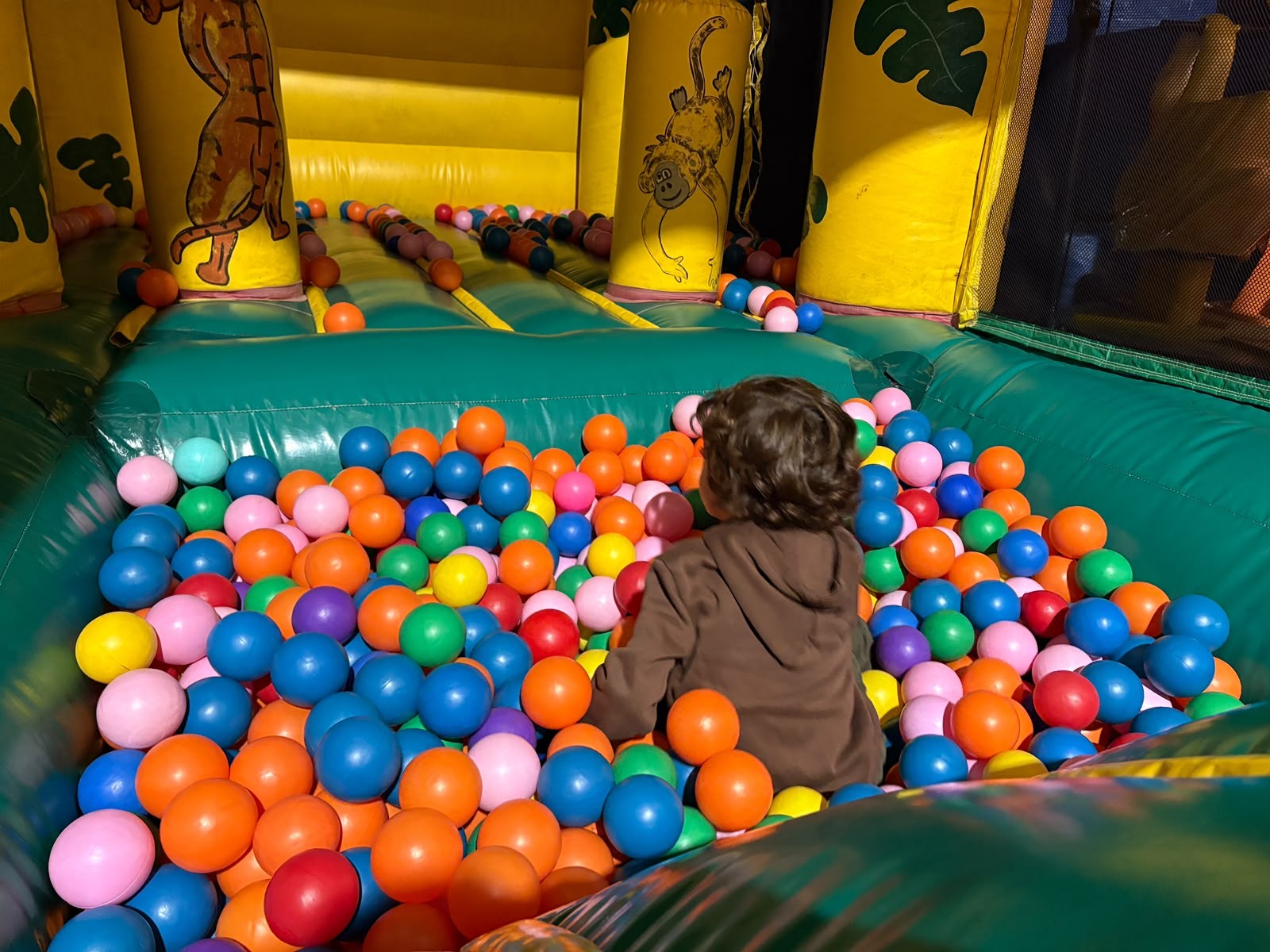 Kid's circus